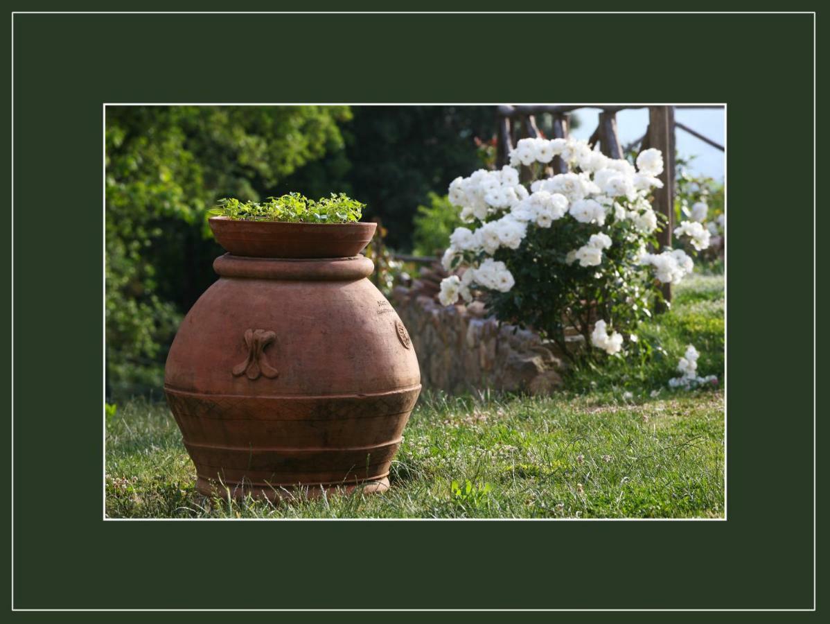 Podere Marroneto Lama  Exterior foto